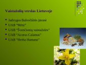 Ekologinių vaistažolių auginimas 11 puslapis