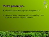 Ekologinių vaistažolių auginimas 3 puslapis