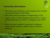 Ekologinių vaistažolių auginimas 10 puslapis