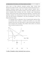 Monopolinė politika (formavimosi ypatybės) 12 puslapis