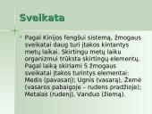 Daiktų taikymas pagal fengšui  3 puslapis