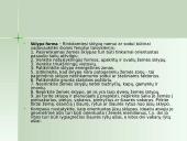 Daiktų taikymas pagal fengšui  9 puslapis