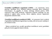 Genetiškai modifikuoti produktai ir jų poveikis sveikatai 2 puslapis
