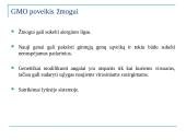Genetiškai modifikuoti produktai ir jų poveikis sveikatai 7 puslapis