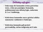 Ginčai, debatai, problematika 15 puslapis