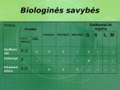 Haemophilus gentis 6 puslapis