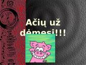 Helenizmo laikotarpis 13 puslapis