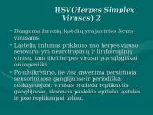 Herpes simplex virusas 2 puslapis