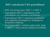 Herpes simplex virusas 4 puslapis