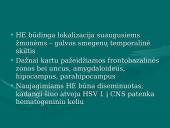 Herpes simplex virusas 6 puslapis