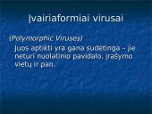 Informacijos apsauga šiuolaikinėje visuomenėje 13 puslapis