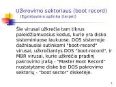 Informacinė sauga: "Kenkėjiškos" programos 12 puslapis