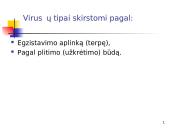 Informacinė sauga: "Kenkėjiškos" programos 8 puslapis