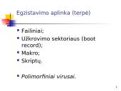 Informacinė sauga: "Kenkėjiškos" programos 9 puslapis