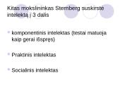 Intelekto testai 7 puslapis