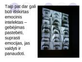 Intelekto testai 8 puslapis
