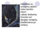 Intelekto testai 9 puslapis