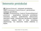 Internetas kaip kompiuterių tinklas 11 puslapis