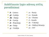 Internetas kaip kompiuterių tinklas 18 puslapis