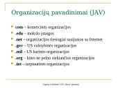 Internetas kaip kompiuterių tinklas 19 puslapis