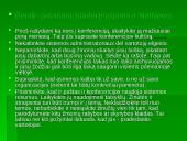 Interneto etiketas 6 puslapis