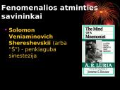 Išskirtinė atmintis: privalumai ir trūkumai 11 puslapis