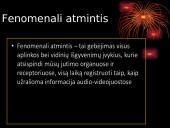 Išskirtinė atmintis: privalumai ir trūkumai 3 puslapis
