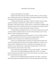 Japonija - istorija, buitis, religija 4 puslapis