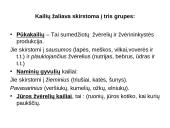 Kailiai ir avikailiai 2 puslapis