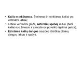 Kailiai ir avikailiai 14 puslapis