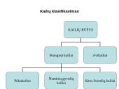 Kailiai ir avikailiai 3 puslapis