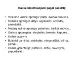 Kailiai ir avikailiai 4 puslapis