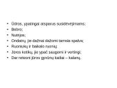 Kailiai ir avikailiai 6 puslapis