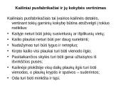 Kailiai ir avikailiai 7 puslapis