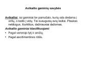 Kailiai ir avikailiai 8 puslapis