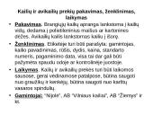 Kailiai ir avikailiai 9 puslapis