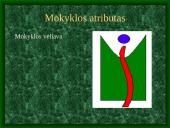 Kauno Mato Šalčiaus mokyklos istorija 13 puslapis