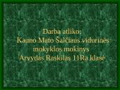 Kauno Mato Šalčiaus mokyklos istorija 14 puslapis