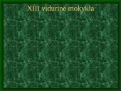 Kauno Mato Šalčiaus mokyklos istorija 6 puslapis