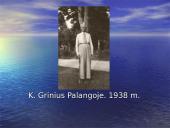 Kazys Grinius 15 puslapis