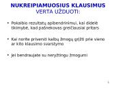 Klausimų pateikimas 13 puslapis