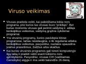 Kompiuterių virusų atsiradimas, veikimas, klasifikacija ir profilaktika 4 puslapis