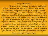 Kompiuterių virusai ir jų žala 15 puslapis