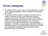 Kompiuterių virusai kaip specialios programos 2 puslapis