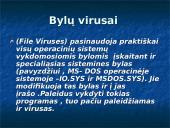 Kompiuteriniai virusai bei jų tipai 6 puslapis