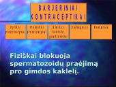 Kontraceptinės priemonės 4 puslapis