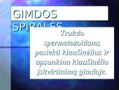 Kontraceptinės priemonės 7 puslapis