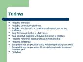 Kultūros projektas: nuo idėjos iki ataskaitos 2 puslapis