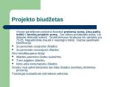 Kultūros projektas: nuo idėjos iki ataskaitos 13 puslapis