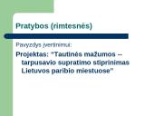 Kultūros projektas: nuo idėjos iki ataskaitos 16 puslapis